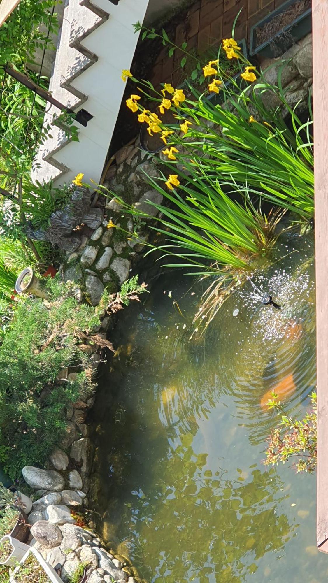 Saint Paul De Vence Villa Damyang Kamer foto
