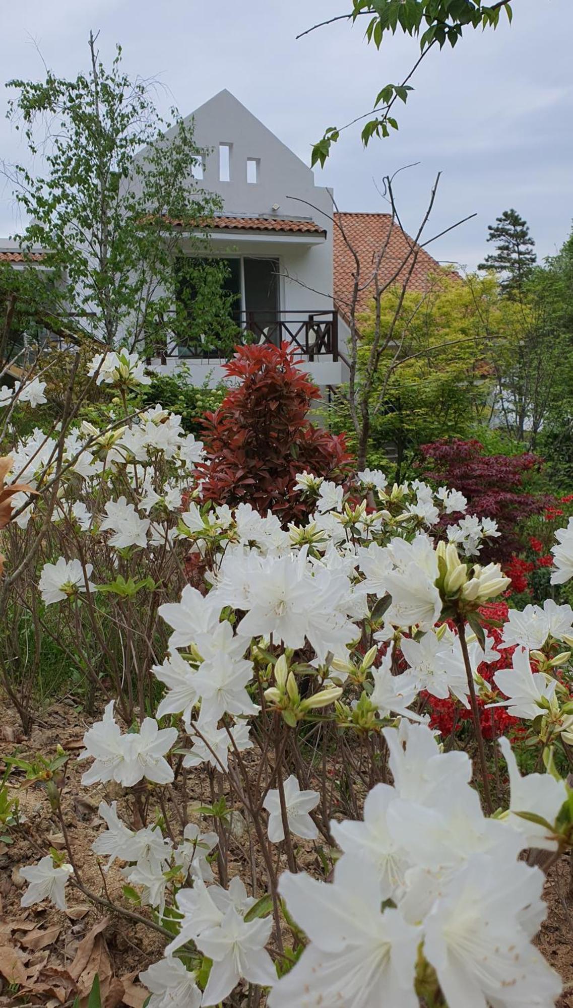 Saint Paul De Vence Villa Damyang Kamer foto