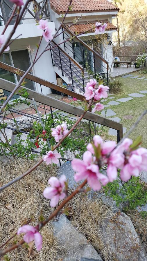 Saint Paul De Vence Villa Damyang Buitenkant foto
